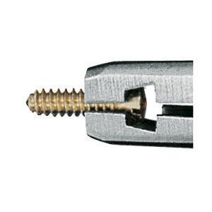 Chwytacz śrub z punktowymi końcówkami