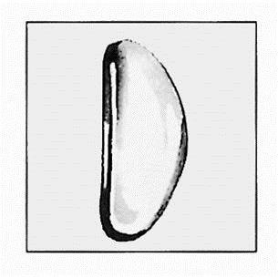 Nanośniki do przyklejenia, asymetryczne, nie zawierają kleju, 19 x 8 mm - 6 par